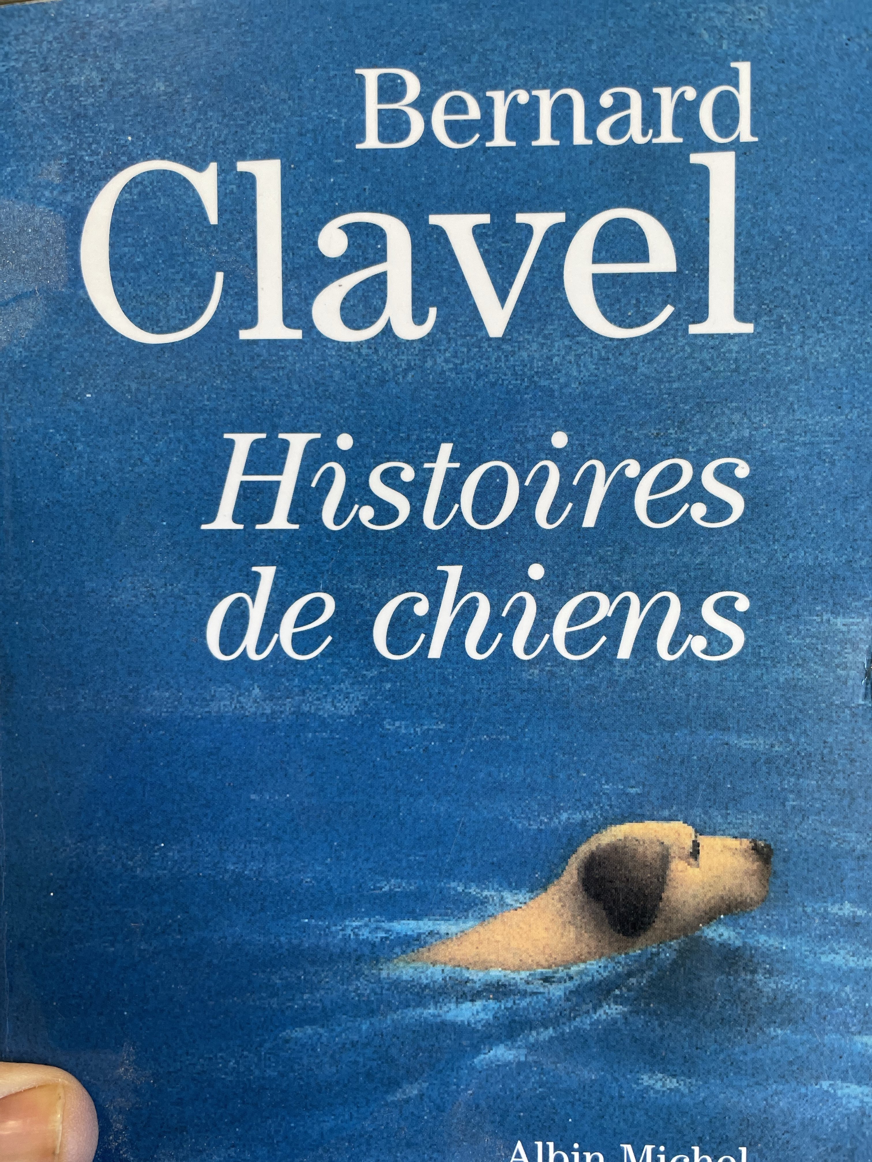 HISTOIRES DE CHIENS